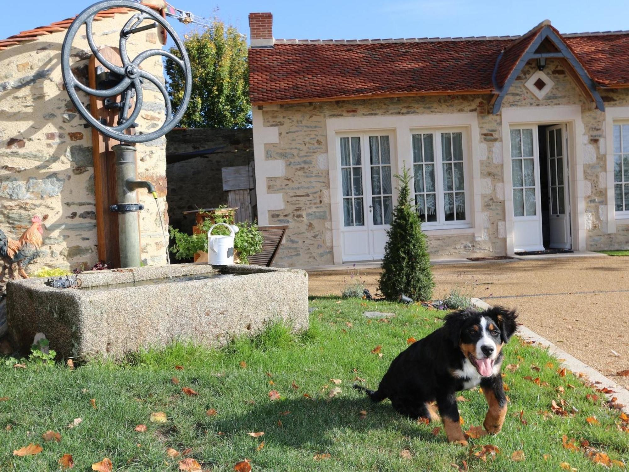 Gîte L'Orangerie Mouchamps Bagian luar foto